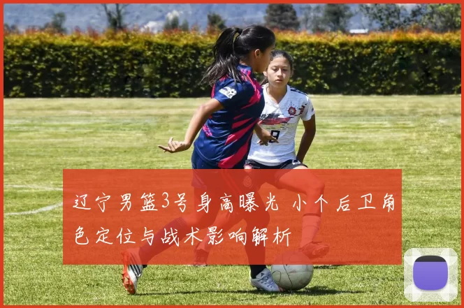 辽宁男篮3号身高曝光 小个后卫角色定位与战术影响解析