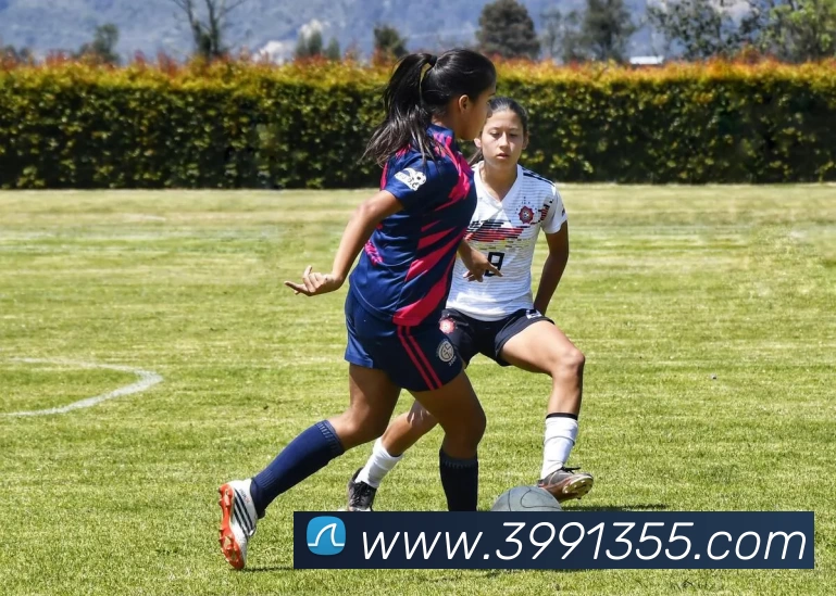 数据防护可视化